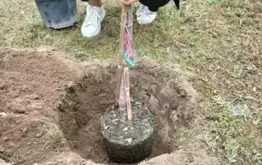 20250424_093852