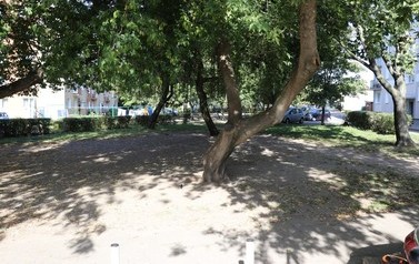 IMG_8920