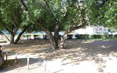 IMG_8919