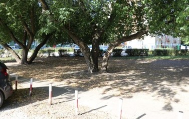 IMG_8918