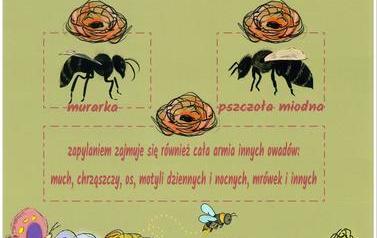 plakat pszczoły