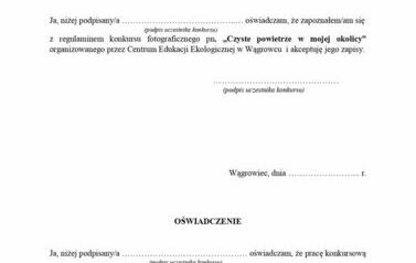 Załącznik nr 2 do Regulaminu konkursu- OŚWIADCZENIA