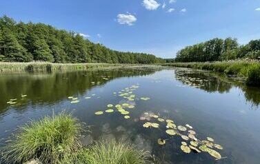 jezioro