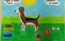 483301960_1441364983507337_5066197864333236267_n