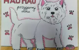 482954532_9806293642767690_5659550791476879053_n