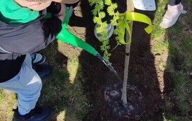 1777275871072