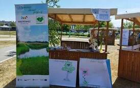 351771410_930546874918176_7356740562375068698_n