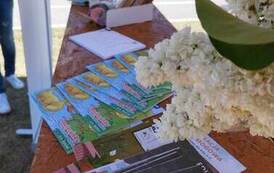 352232337_253605550682434_529366275837512728_n