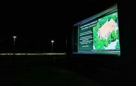 382724233_6664340310311933_913971651675272413_n