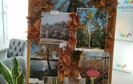 398503126_911619670387582_7205589209052370730_n