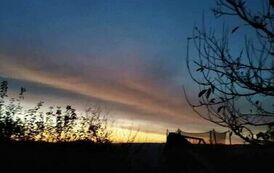 368061165_1059785918533722_5057128749908280390_n