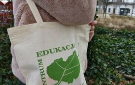 420029153_1479395492951106_6263980738530030197_n