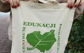 419821790_381258637876722_593868630787708985_n