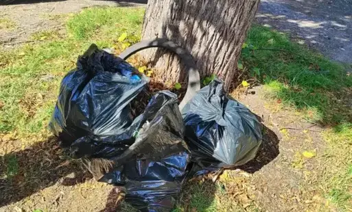 Zdjęcie do Podsumowanie Akcji Sprzątanie Świata 